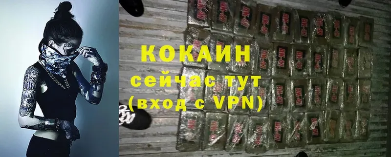 Виды наркоты Гудермес Канабис  блэк спрут ссылки  A PVP  ГАШ  COCAIN 