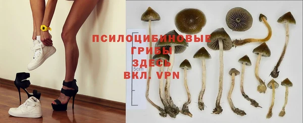 COCAINE Бородино