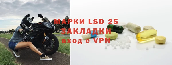 индика Богородицк