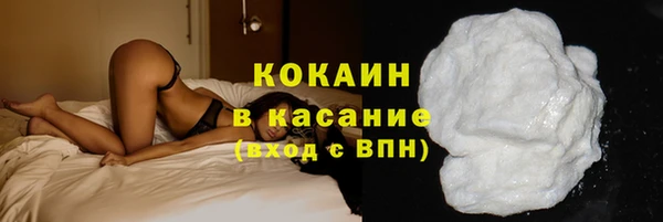 индика Богородицк