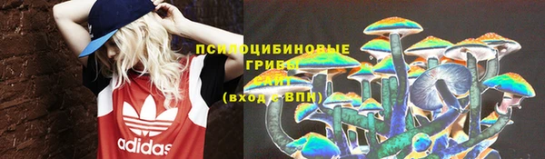 COCAINE Бородино