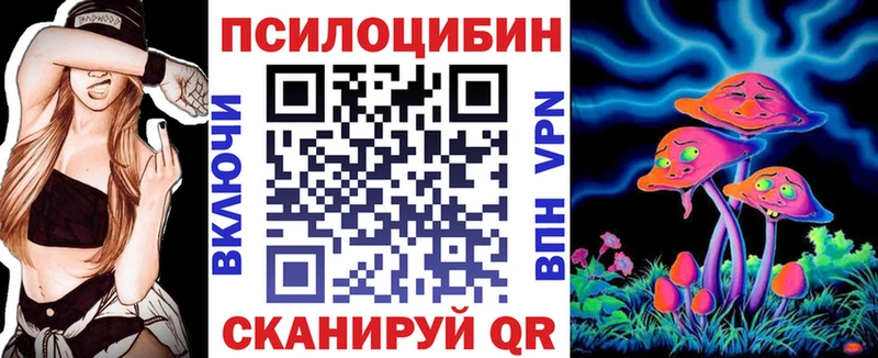 МЕГА ТОР  цена   Гудермес  Псилоцибиновые грибы Magic Shrooms 