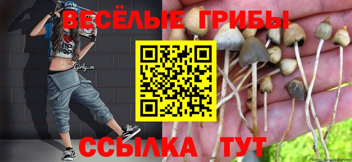 Галлюциногенные грибы GOLDEN TEACHER  Вход с VPN  Псилоцибиновые грибы Psilocybe  Гудермес 